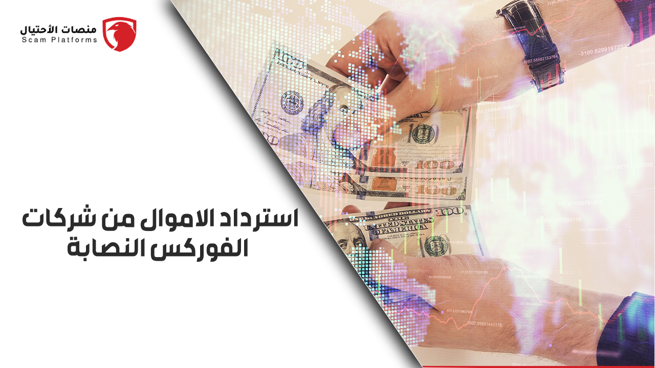 شركات التداول النصابة